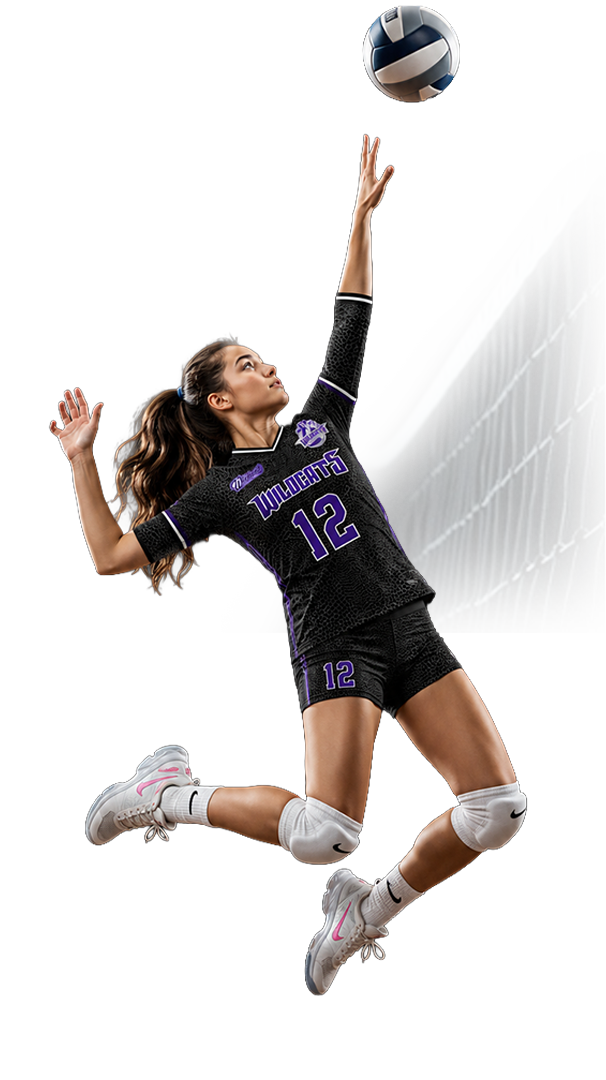 Volleyball Program